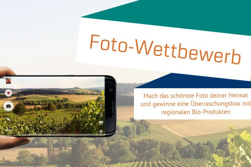 Smartphonekamera fotografiert Landschaft